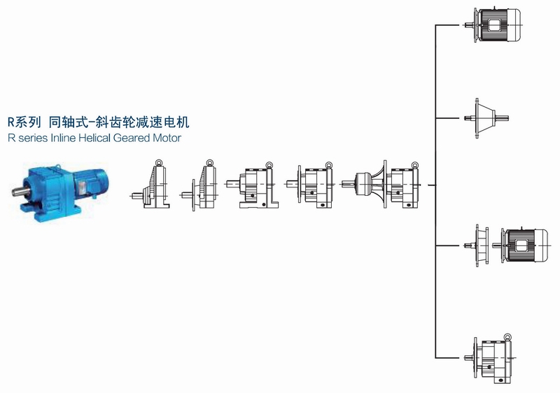 R series Speed reduction gearbox Motor