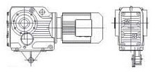 Torque arm mounted helical bevel gear motor with hollow shaft