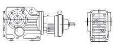 Shaft input combinatorial helical-bevel gear motor