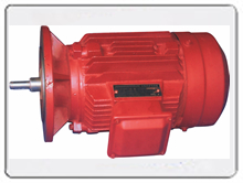 Three-phase Asynchronous Motor for RKFS Helical Gearbox Speed Reducers