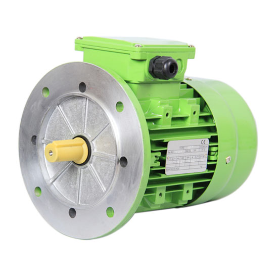 YE2 High Efficiency Motor